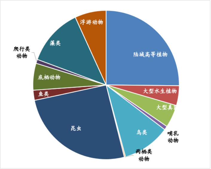 清研智谈 | 生物多样性“家底”调查